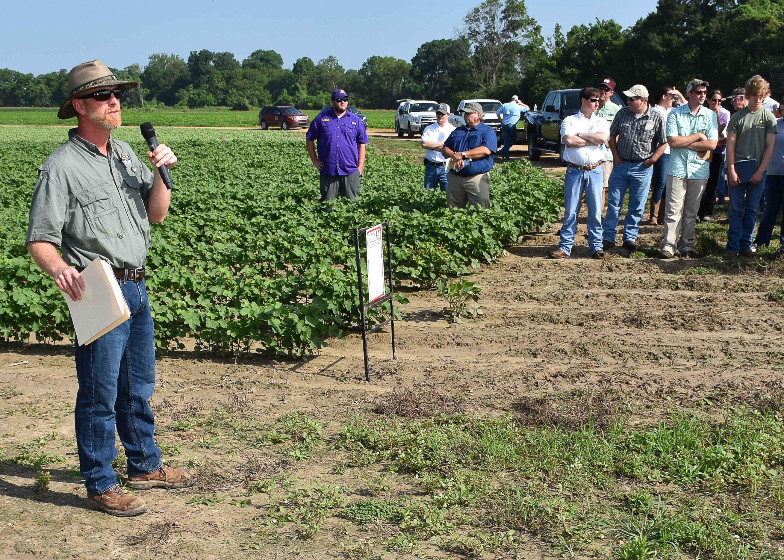 Farmers hear updates on crops, research at LSU AgCenter field day in St. Joseph 